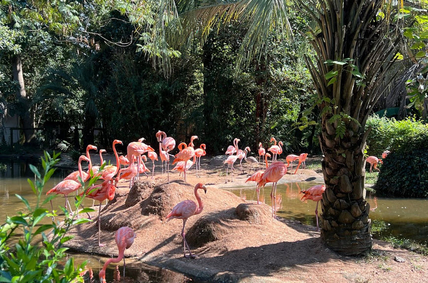 Riverbanks Zoo and Garden, United States